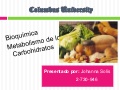 Metabolismo de los carbohidratos