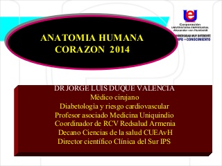 Anatomia corazon 2014