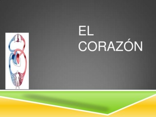 El corazon 5