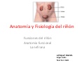 Anatomía y fisiología del riñón