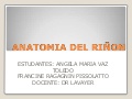 Anatomia del riñon