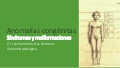 Patología de las malformaciones introducción