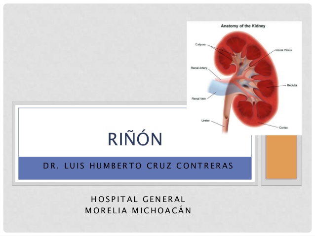 RIÑÓNDR. LUIS HUMBERTO CRUZ CONTRERAS        HOSPITAL GENERAL       MORELIA MICHOACÁN 