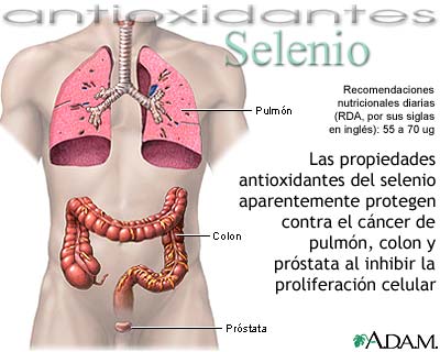 Selenio - antioxidante