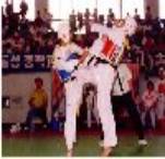 Tkd003ch.jpg (4881 bytes)